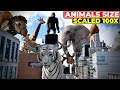 What If Animals Grew 100 Times Bigger Giant Animals 3D Comparison