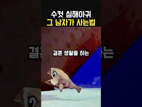 수컷 심해아귀 그남자가 사는법