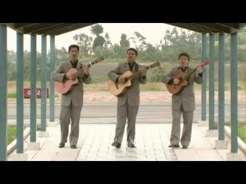 El camino de la vida