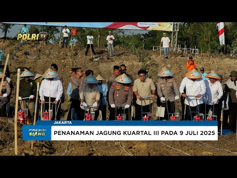 SELAYANG PANDANG PENANAMAN JAGUNG SERENTAK POLRI KUARTAL I HINGGA IV