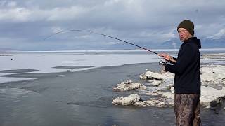 preview picture of video 'Utah Lake Fishing report 31 dec 2018'