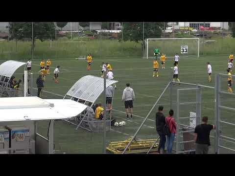 Pfingstmaster FE13 BSC Old Boys Basel FE13   BSC Young Boys FE13 09.06.2019