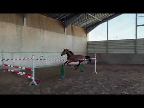 free jumping