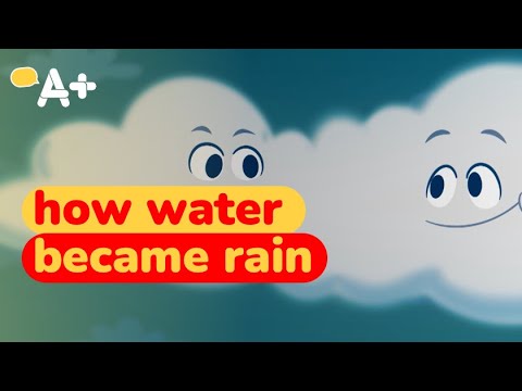 How Water Became Rain ☔