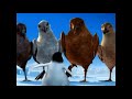 Happy Feet El Pingüino Clip Español Latino
