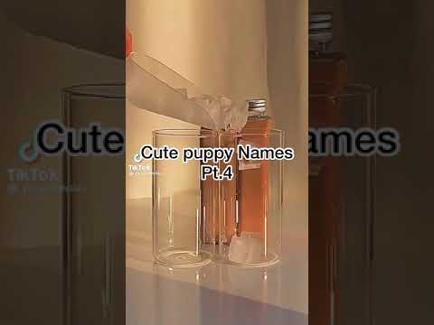 🍁Cute Puppy Names🍁