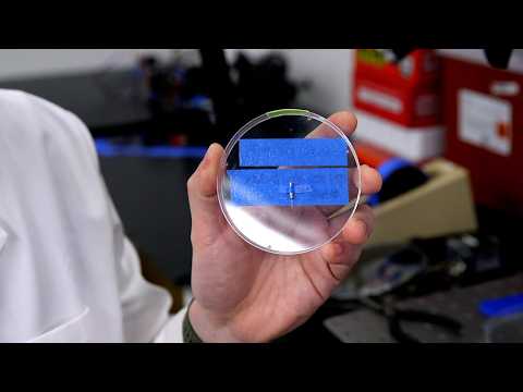 Prime time for fiber optics in the brain to revolutionize ...