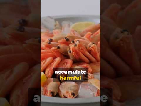 The Divine Diet: A Modern Take on Biblical Dietary Laws (seafood)