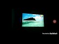Baby First Safari Scrapbook Sea Turtle