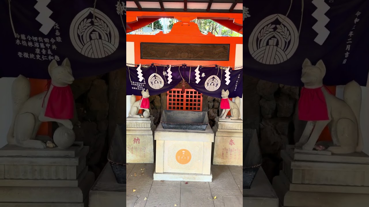Put japanskih molitva  #japan #tori #nezu #tokyo