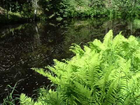 Trolldalen Växbo Kvarn.Goblinvalley.Sweden.