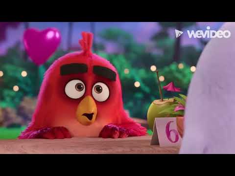 Petrienocchio Trailer