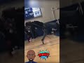 Dude Was Putting On A Show Amazing Dancing Blackmen