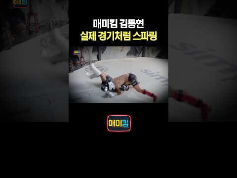 매미킴 김동현 실제 경기처럼 스파링