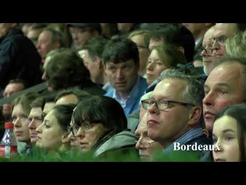 Bordeaux-Hengstkollektion 2019 deutsch