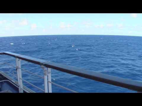 Lena Kaufman - Sea, sand.