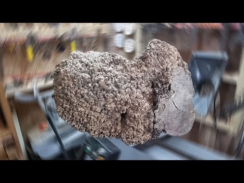 I was BANNED from turning this - Woodturning the Big Elm Burl