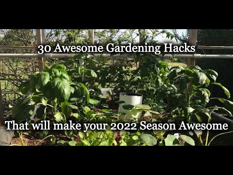 30 Awesome Gardening Hacks - Epi-3018