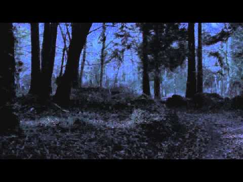 In Fear (Clip 'What Would You do to Save Your Soul?')