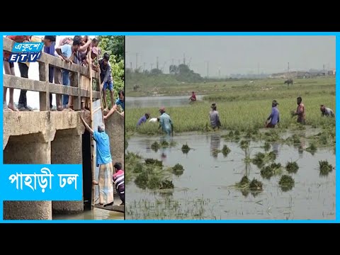 পাহাড়ী ঢলে তলিয়ে গেছে বোরো ধান