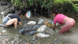 Full Video: The Girl Fishing Alone on River and Lake, Traditional Fishing with Nets Catch Giant Fish