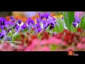 Nanthini Nanthini Nenjil Sarathkumar Devayani Oruvan Movie Song