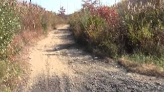 preview picture of video 'Bay Circuit Trail Easton MA: Hockomock Swamp Wildlife Management Area Part 1.'