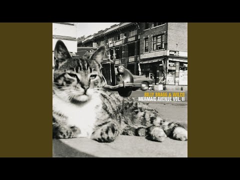 Stetson Kennedy - Billy Bragg