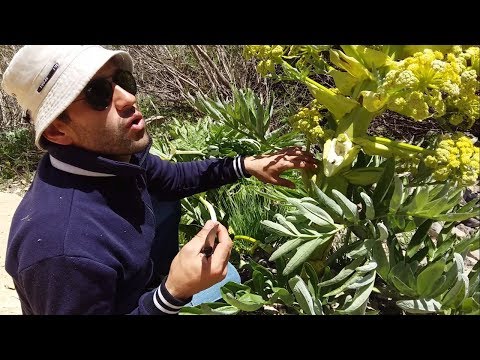 Таркиш дар ГЭСи Рогун! Сафар ба куххои Рогун. Ров ва Чукри!