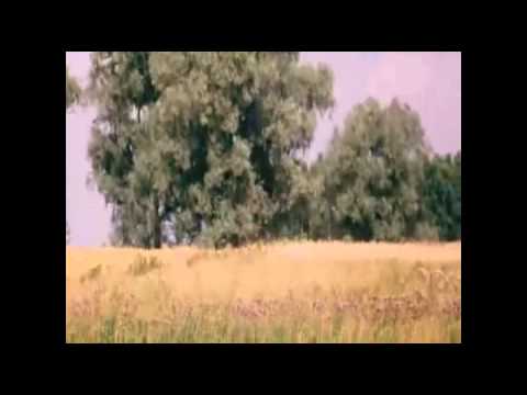 Chojnowski i Kobylański witają nowego hiszpańskiego trenera