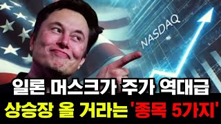 일론 머스크가 주가 역대급 상승장 올 거라는 '종목 5가지'