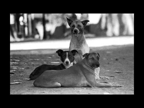 Gabo Mc FT LyricArte   El antro de jarana