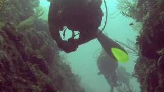 preview picture of video 'Scuba diving in Mahahual, Buceo en Mahahual'