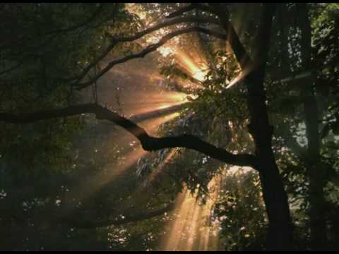 INESSA GALANTE & SAMSONS IZJUMOVS "Soffriva nel pianto" Lucia di Lammermoor  - Donizetti