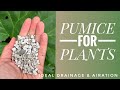 PUMICE FOR PLANTS & POTTING SOIL MIX | A SOIL SCIENTIST VIEW ON PUMICE VS PERLITE.