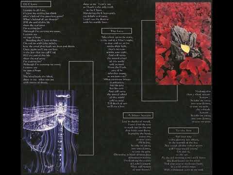 Dakrua - A Silent Scream