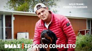 Thumbnail del capítulo