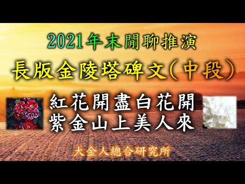 紫金山上美人來