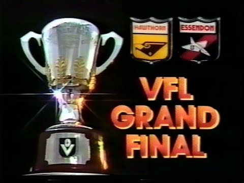 1984 VFL AFL GRAND FINAL HAWTHORN V ESSENDON