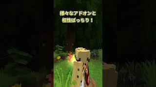 【アドオン紹介】新しく公開された無料カメラアドオンが良すぎる【マイクラ】
