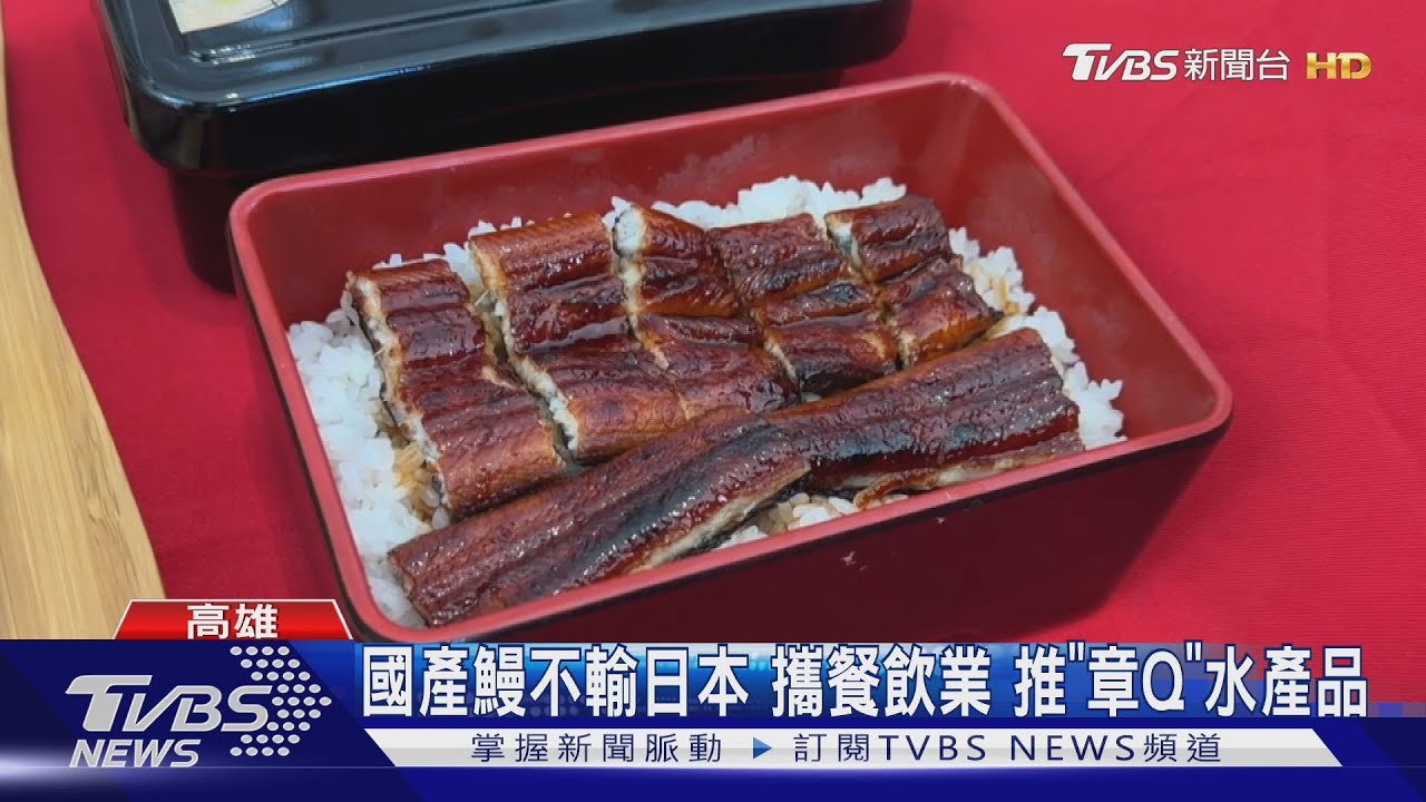 國產鰻不輸日本 攜餐飲業推「章Q」水產品