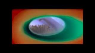 aux fleurs plus de couleur plus de vitesse àl'onde