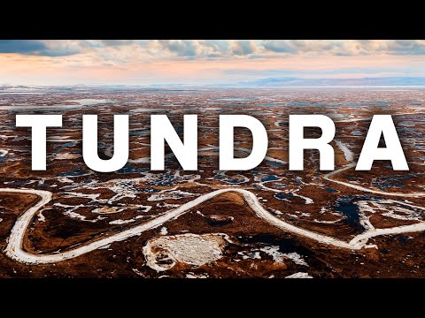Life in the Tundra | Journey to a Remote Alaskan Village