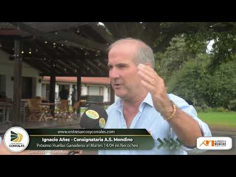 Ignacio Añez - Próximo Huellas Ganaderas el Martes 14 de Abril en Necochea, Bs.As.