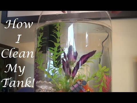 How To Clean the 3 Gallon Tetra Halfmoon Aquarium