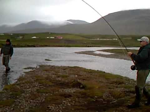 víðidalsá 2010 júní/júlí