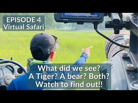 INDIA’S FIRST VIRTUAL SAFARI - EP4 | TIGER SAFARI LIVE | BANDHAVGARH NATIONAL PARK