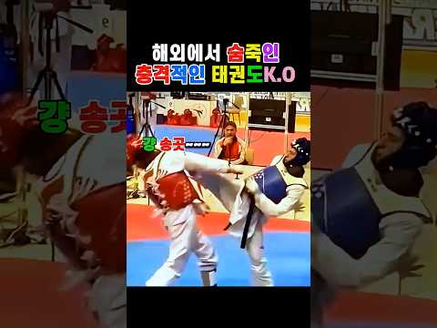 해외 대회에서 터진 역대급 실신 장면ㄷㄷ #KO #태권도