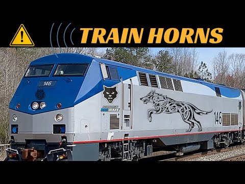 Installing TRIPLE Train Horns on Our Ford F-150 Tremor | Fenrir Gets LOUD
