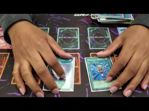 10th place Kissimmee regionals True King Dinos